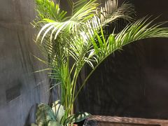 -大鸭梨烤鸭(顺义石园店)