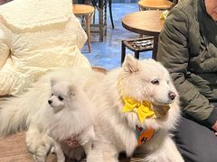 -克比叔叔印度餐厅Kebabs on the Grille(永康路分店)