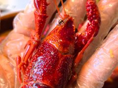 -靓靓蒸虾·头牌蒸虾(沙湖旗舰店)