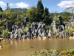 -千岛湖石林