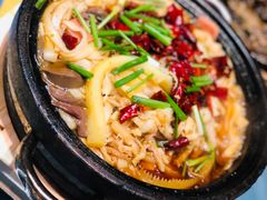 石锅毛血旺-树下时尚餐厅(翠园街店)