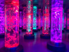 -梦幻海洋王国(吾悦广场张家港店)