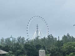 -日照海滨国家森林公园
