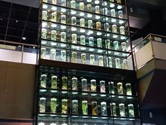 -广东中医药博物馆