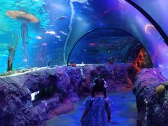 -沈阳海洋探索中心