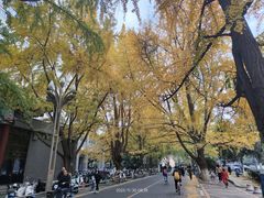 -四川大学(华西校区)