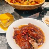 茶港～春日上新之樱花🌸系