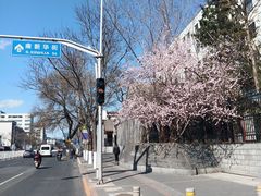 -北京师范大学附属中学