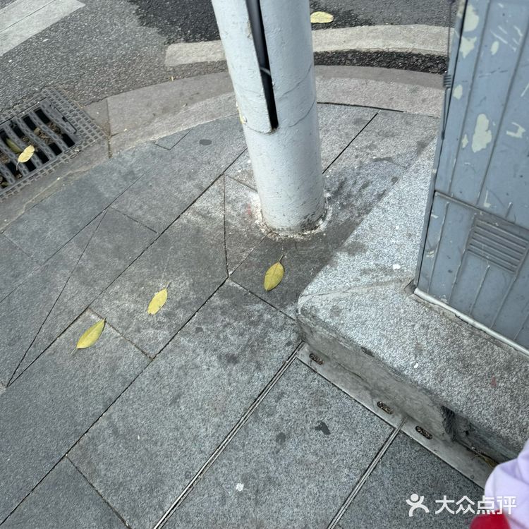 粤菜家常菜的特色