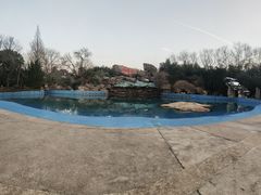 -金孔雀温泉旅游度假村