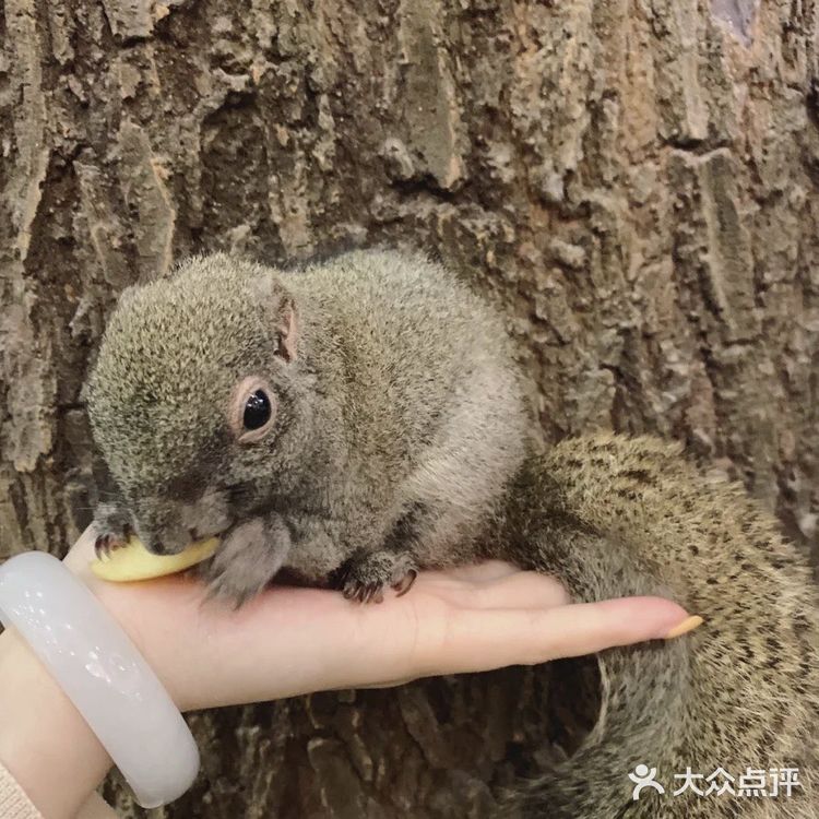 宝宝撒欢好去处｜摩西花园🌸