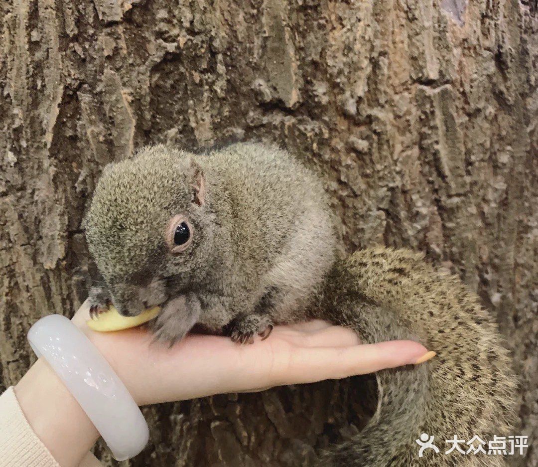 宝宝撒欢好去处｜摩西花园🌸