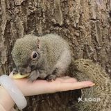 宝宝撒欢好去处｜摩西花园🌸