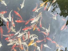 -聚福宝合苑食府(南头镇店)