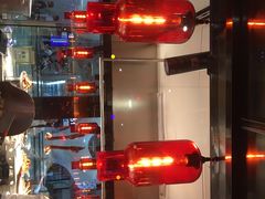 金奖卤鹅肉饭-陈鹏鹏潮汕菜(宝安机场T3航站楼店)