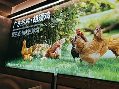 -野·大山里野生菌石锅土鸡(益田假日店)