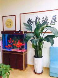 -颐健堂健康管理中心(宝龙店)