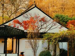 -上海醉白池公园