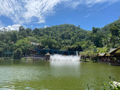 -西双版纳原始森林公园