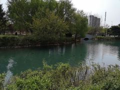 -长白岛森林公园