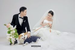 -金夫人婚纱摄影