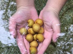 -祁门牯牛降观音堂风景区