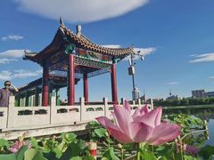 -莲花池公园