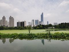 -月湖风景区