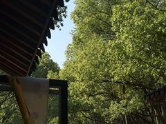 -东明山森林公园