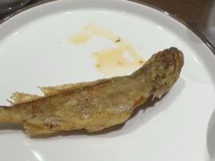 -粗茶淡饭•陕菜•家常菜