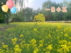 -北坞公园
