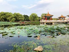 -长春市南湖公园