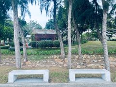 -宝安西湾红树林湿地公园