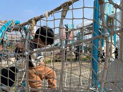 -季高兔窝窝亲子园(上海薰衣草公园店)