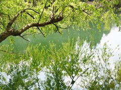 -贵阳市花溪国家城市湿地公园