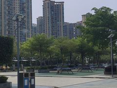 -宝安体育馆游泳馆