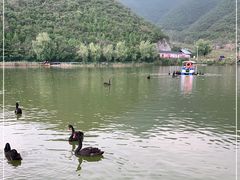 -静之湖度假区