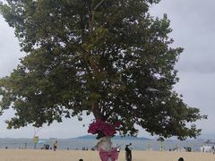 -青岛第一海水浴场