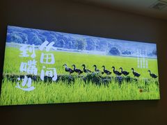 -杨厨的田园饭店(长城路店)