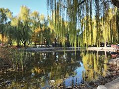 -玲珑塔公园