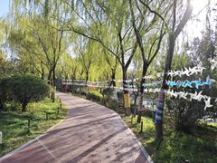 -西安汉城湖景区