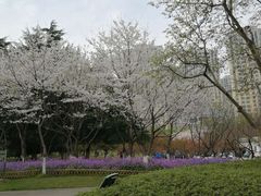 -白塘生态植物园