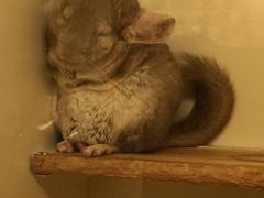 -龙猫仔乐园(惠福东路店)