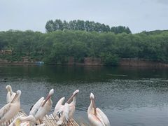 -沈阳森林动物园