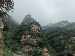 -王莽岭风景区