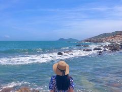 -广东惠东海龟国家级自然保护区