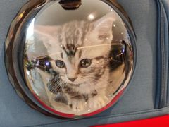 -爱诺耐芙动物医院(万博店)