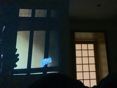 -锦初·禅意4K影院式足道·新中式SPA(茂业天地店)