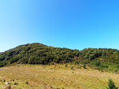 -白草畔自然风景区