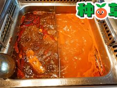 -渡娘火锅(大兴大悦春风里店)